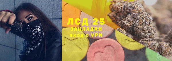 PSILOCYBIN Кодинск