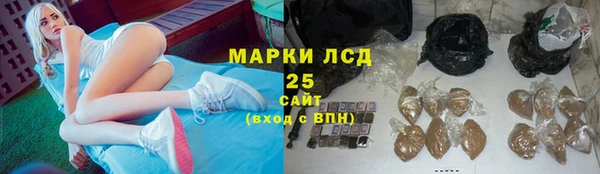 PSILOCYBIN Кодинск