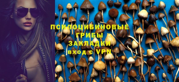 спиды Козельск