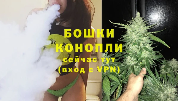 PSILOCYBIN Кодинск