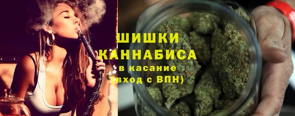 PSILOCYBIN Кодинск