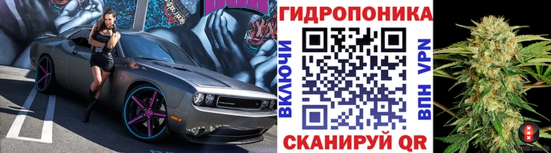 Шишки марихуана VHQ  Купить закладки  Бирюч 